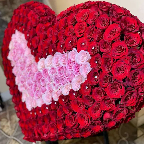 Heart Shape